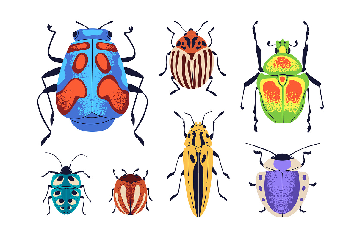 Summer bugs, insects. Beetles set, an Animal Illustration by Good Studio