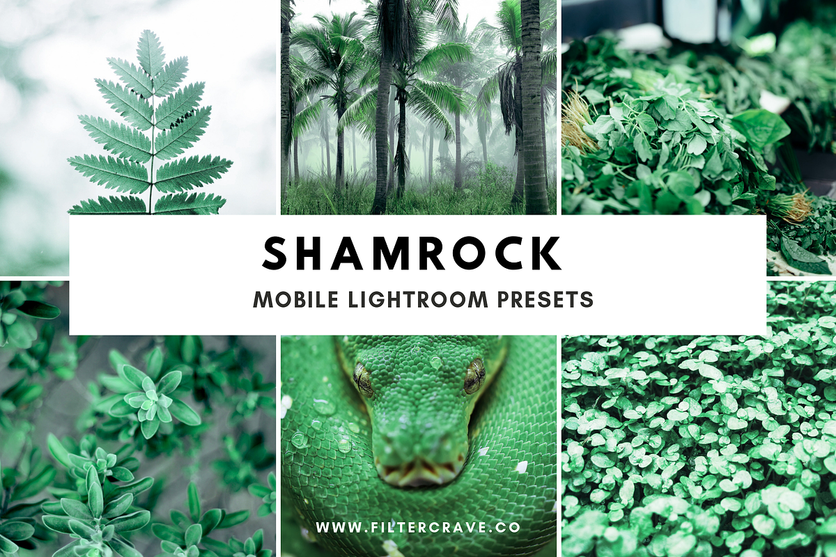 Shamrock Lightroom Presets Instagram, an Action Add-On by Filtercrave (Photo 1 of 8)