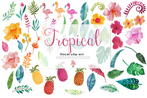 Tropical Floral Clip Art