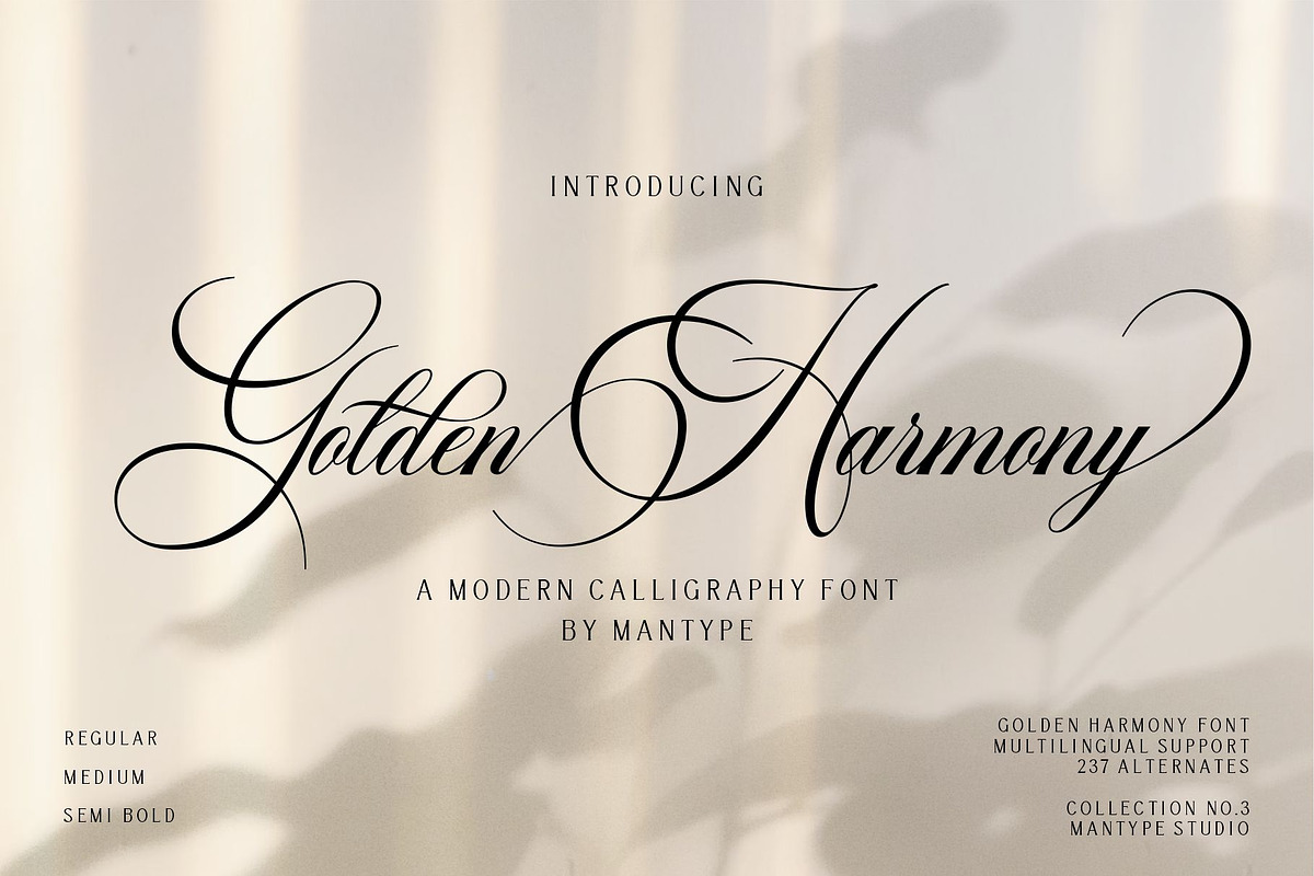 Golden Harmony, a Script Font by ManType (Photo 1 of 8)