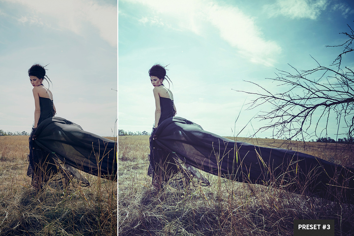 Split Tone Presets Mobile + Desktop, a Plug-in Add-On by PhotoSpirit (Photo 3 of 10)