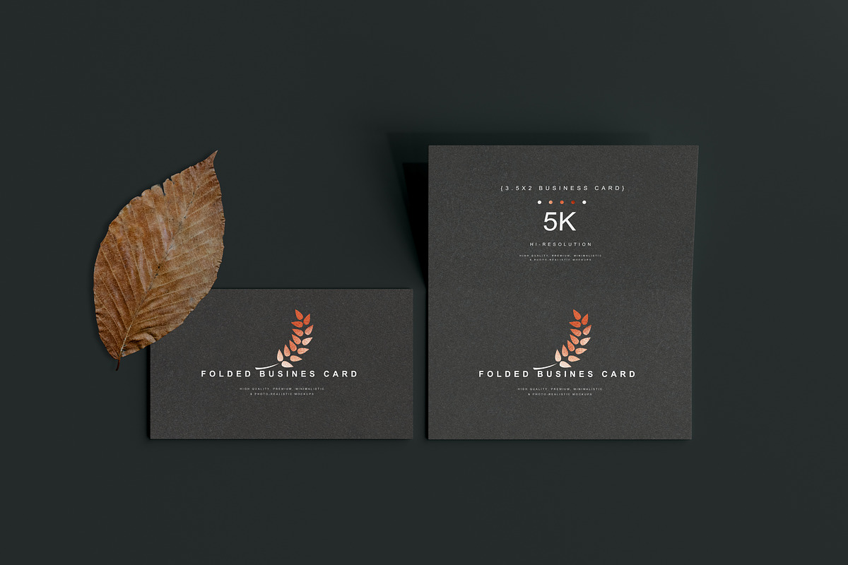Folded Business Card Mockups, a Print Template by pmvch (Photo 12 of 20)