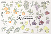Editorial Botanical Line Art, an Object Illustration by Mio Buono (Thumbnail 15 of 16)