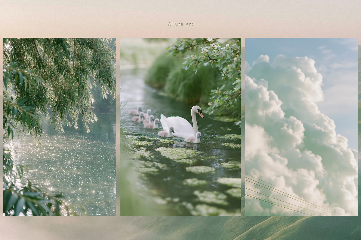 230 Sage Green Stock Images Bundle, a Beauty & Fashion Photo by Allure Art (Photo 16 of 33)