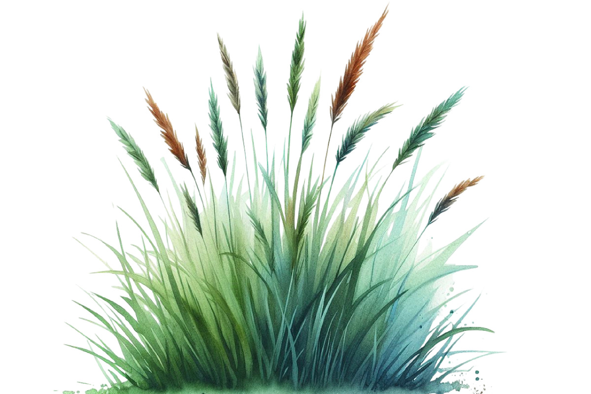 Watercolor Grass Clipart, an Illustration by Designking (Photo 4 of 4)