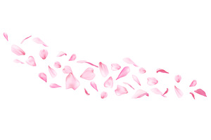 Flying pink sakura petals scattered, an Object Illustration by art PVP - market