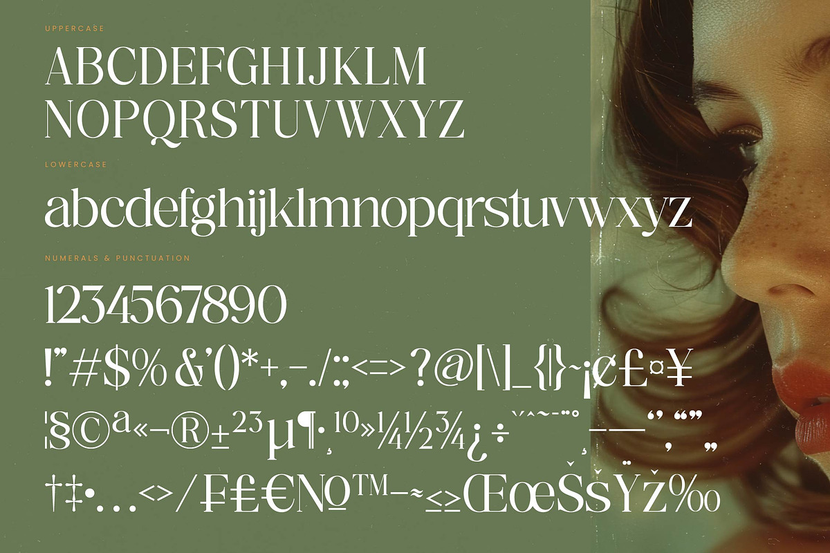 Nostalgic Flashy Modern Serif, a Serif Font by timelesstype.co (Photo 18 of 20)