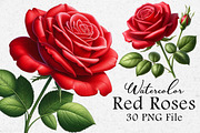 Watercolor Rose Flower Clipart, an Illustration by Dream Creation (Thumbnail 1 of 6)