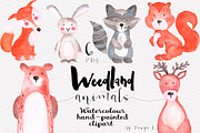 Woodland animals Watercolor Clipart, an Animal Illustration by Tanya Kart (Thumbnail 1 of 5)