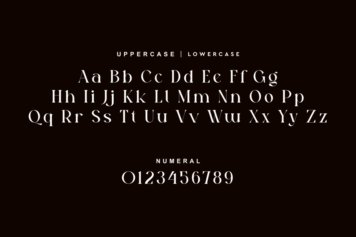 Atfagis - Modern Serif Font, a Serif Font by QR Design Studio (Photo 7 of 14)