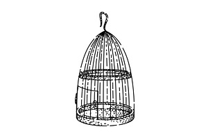 seed birdcage sketch hand drawn, an Illustration by pikepicture