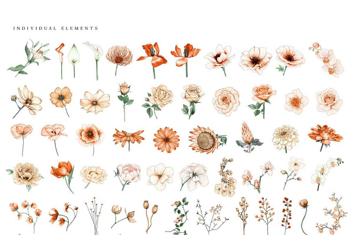 Ultimate Flower & Leaf Collection, an Object Graphic by Pretty Little Lines (Photo 39 of 47)