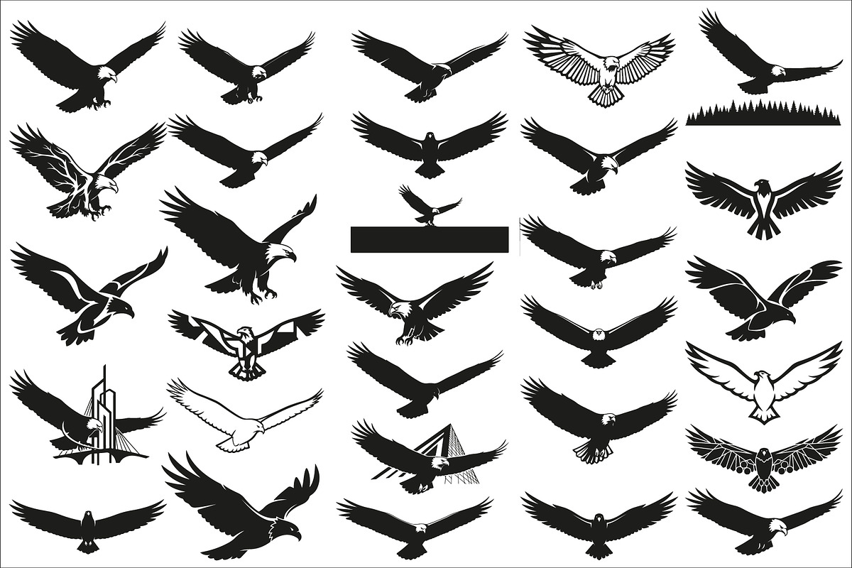 Powerful eagle flying wall art desig, an Illustration by Amazin_art (Photo 1 of 31)