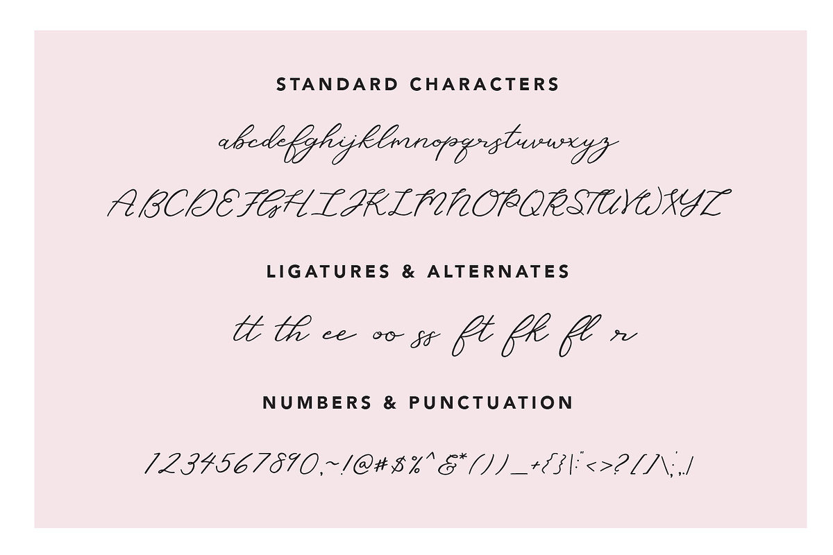 Heather Script preview 6