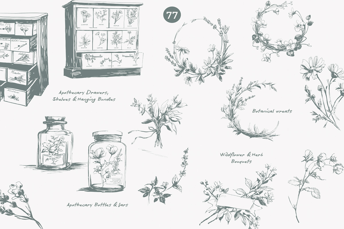 apothecary clipart vintage collectio, a Decorative Illustration by Patishop Art (Photo 6 of 10)