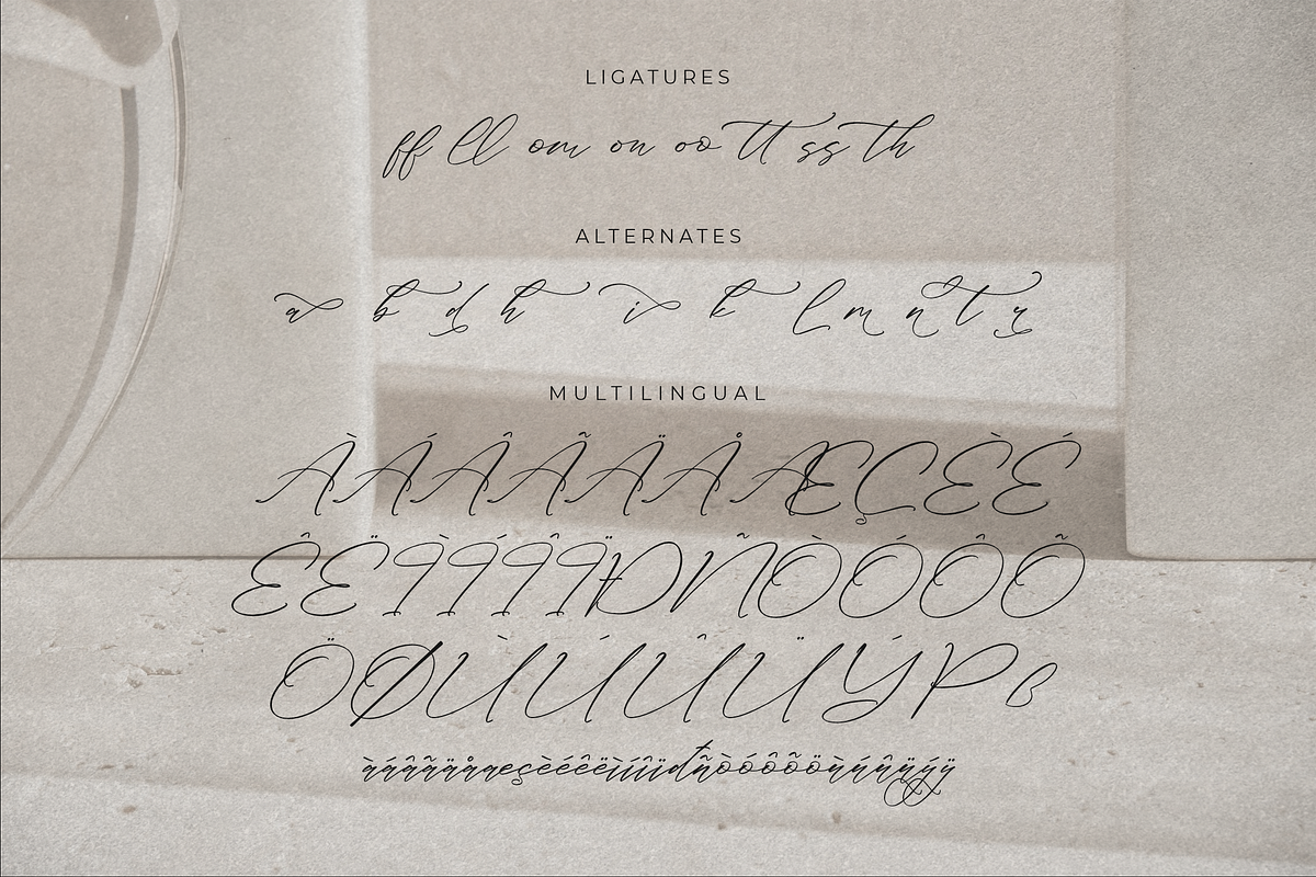 Classthy Theriond Chic Calligraphy, a Script Font by Storytype Studio (Photo 14 of 15)
