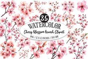 Cherry blossom branch Clipart, a Seasonal Illustration by Designking
