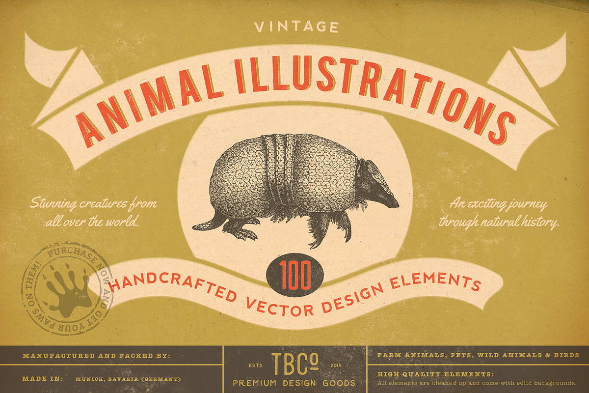 SALE! 100 Animal Illustrations, an Animal Illustration by Anja Kaiser (Photo 1 of 4)