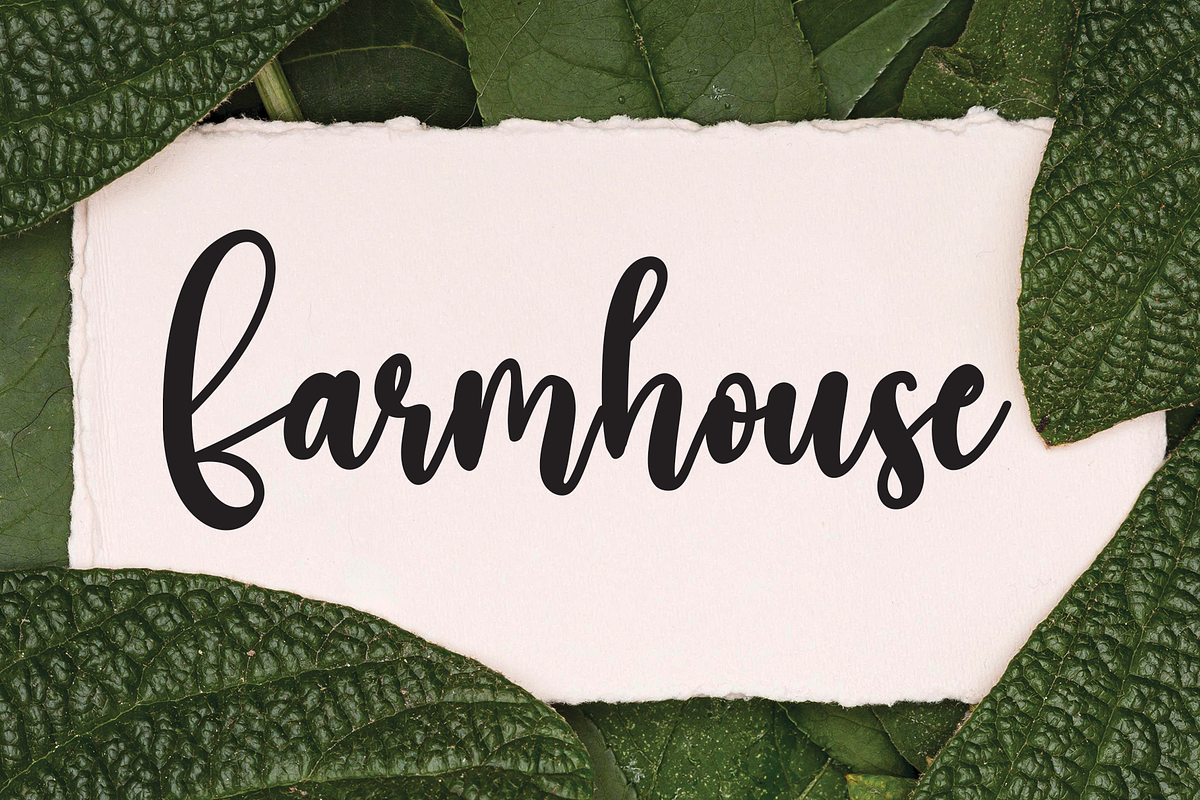 Paradise | Script Font, a Script Font by Scratchones (Photo 7 of 8)