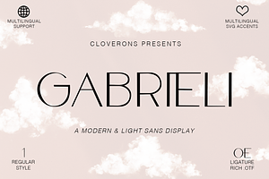 Gabrieli - Fancy Modern Sans Display