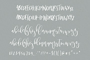 Brisbane | A Scripty Font Duo, a Sans Serif Font by Jen Wagner Co (Thumbnail 3 of 6)