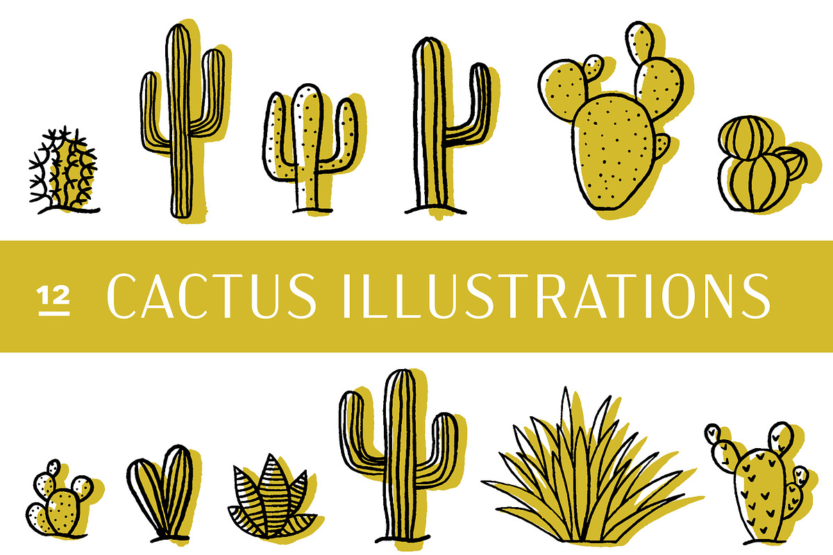 12 Cactus Illustrations, an Illustration by Wildflower June (Photo 1 of 2)