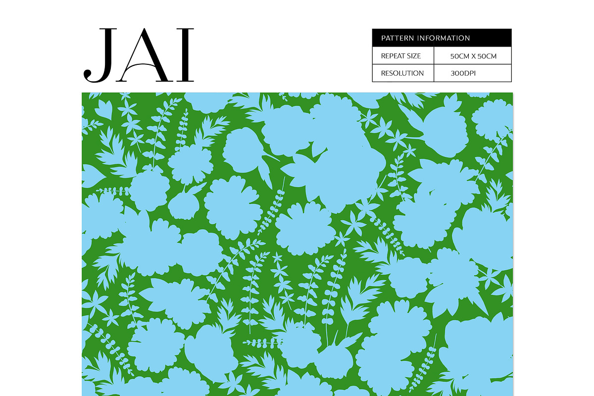 JAI Collection, a Decorative Illustration by Dana Designs (Photo 12 of 14)