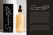 Antique Prestig Stylish Signature, a Script Font by stylishtype.co (Thumbnail 5 of 20)