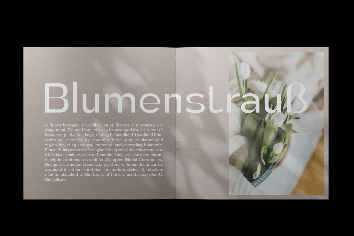 Tulip Algarve Font Family, a Sans Serif Font by Ryul Davidson (Photo 12 of 15)