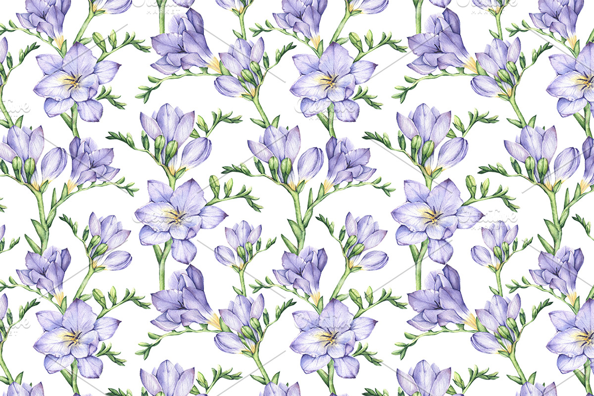 Set of Watercolor Freesia Flowers, an Illustration by Imaginasty (Photo 5 of 5)