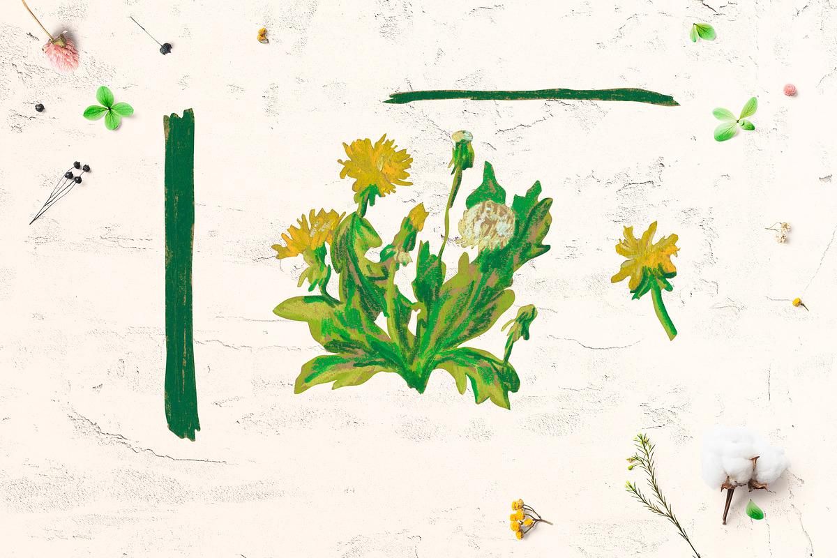 Cute Crayon Child Dandelion Flower, a Healthcare Illustration by Lucyinyourheart (Photo 6 of 6)