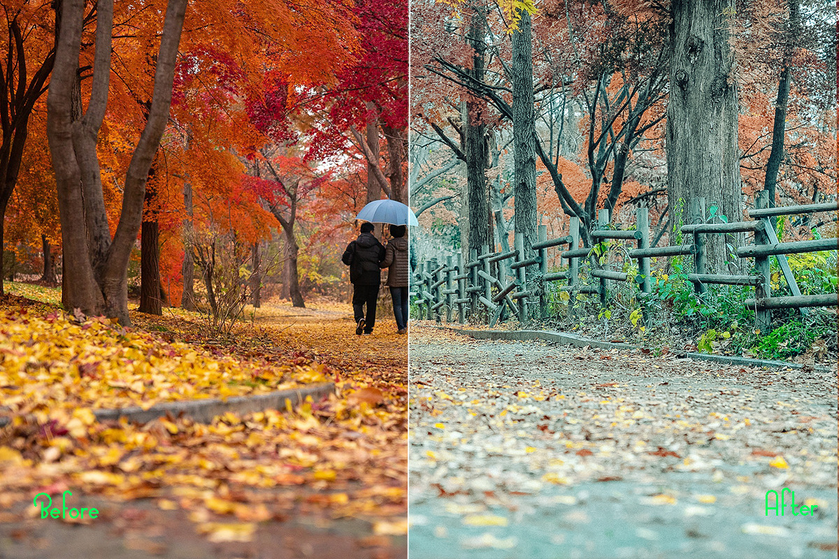 Autumn Photoshop Actions 110 Bundle, an Action Add-On by ARTNEST (Photo 11 of 11)