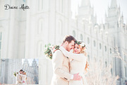 Classic Matte Presets-Lightroom, a Plug-in Add-On by ElyanaIvette (Thumbnail 9 of 9)
