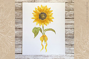 Sunflower Watercolor Illustrations, an Illustration by Fire Spark Studio (Thumbnail 8 of 10)
