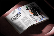 Rosevine – Latin Extended Version, a Serif Font by Hakara Type (Thumbnail 9 of 10)
