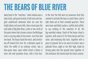 Fairweather, a Sans Serif Font by Dharma Type (Thumbnail 7 of 10)