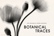 Botanical Traces: Blurred Floral PNG, an Object Graphic by Dina Mae (Thumbnail 1 of 14)
