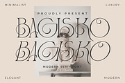 BAGISKO Modern Serif Font, a Serif Font by Storytype Studio (Thumbnail 1 of 15)
