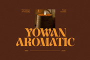 Venom Elegant Serif Font, a Serif Font by Perfectype (Thumbnail 7 of 8)