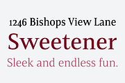 Mandrel, a Serif Font by insigne (Thumbnail 5 of 5)