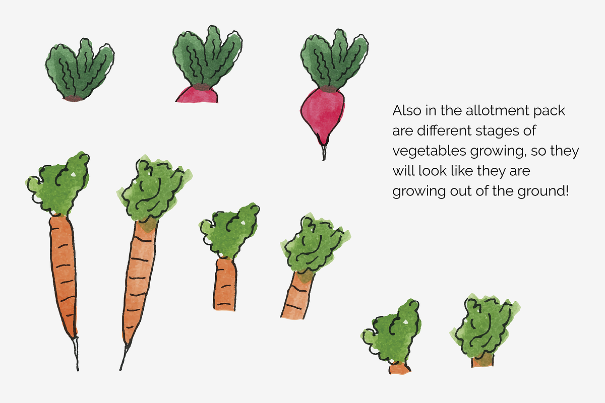 An arty Allotment, an Education Illustration by Liz Pengilley Studio (Photo 6 of 11)