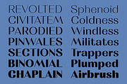 Rachstela Font Family - 14 Styles!, a Sans Serif Font by Martype (Thumbnail 9 of 15)