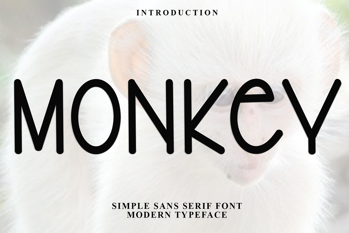 Monkey, a Sans Serif Font by FreshTypeINK (Photo 1 of 7)
