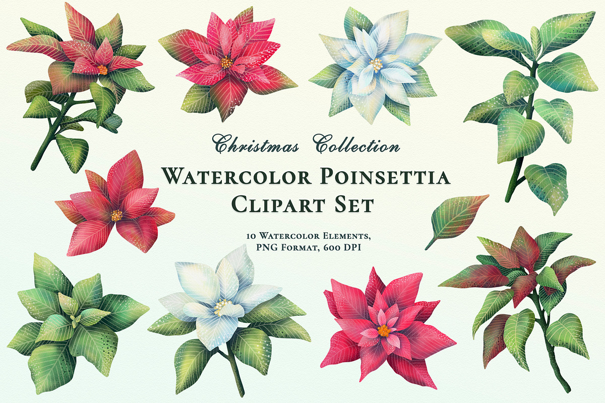 Christmas plants. Cliparts+ wreaths., an Illustration by OlyaGutArt (Photo 3 of 7)