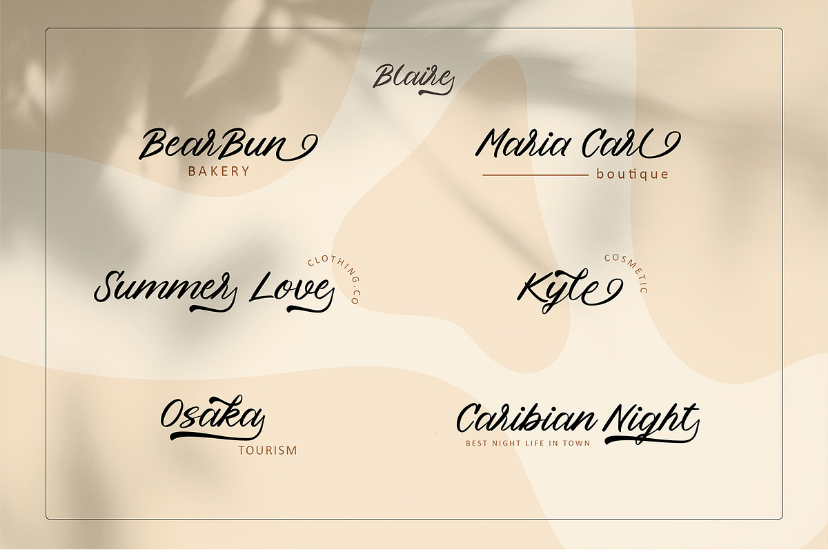 Blaire - Handwritten Font, a Script Font by erlosDESIGN (Photo 9 of 12)