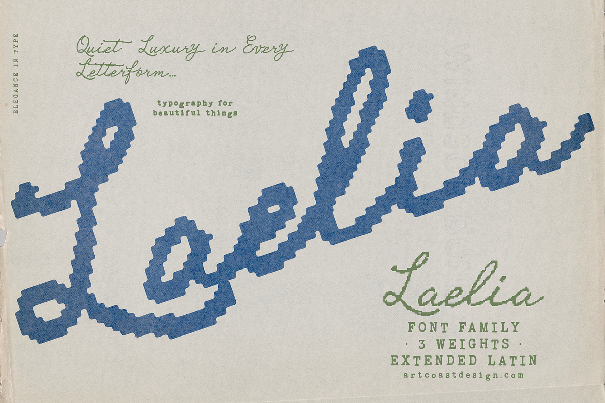 Laelia Wave — Editorial Script Font, a Script Font by nadispasibenko (Photo 1 of 5)