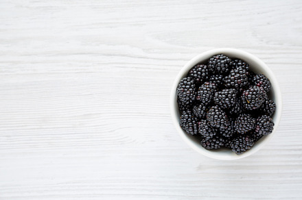 Raw Blackberries in a Bowl, top view. Flat lay, overhead, from a, a Food & Drink Photo by LiudmylaChuhunova