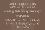 Begifta New Modern Serif Font, a Serif Font by Letterena Studios (Thumbnail 13 of 15)