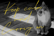 Katios Catty Casual Monoline Font, a Script Font by Maulana Creative (Thumbnail 3 of 7)
