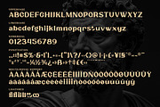 Rocktail – Retro Serif Display Font, a Serif Font by Artiveko (Thumbnail 2 of 8)